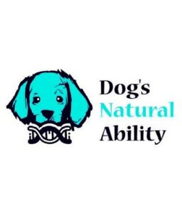 Dogs-Natural-ability-500