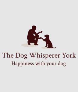 Happiness-with-your-dog-500