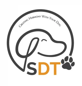 SDT_Icon Logo_2021_WhiteBKGRND-01